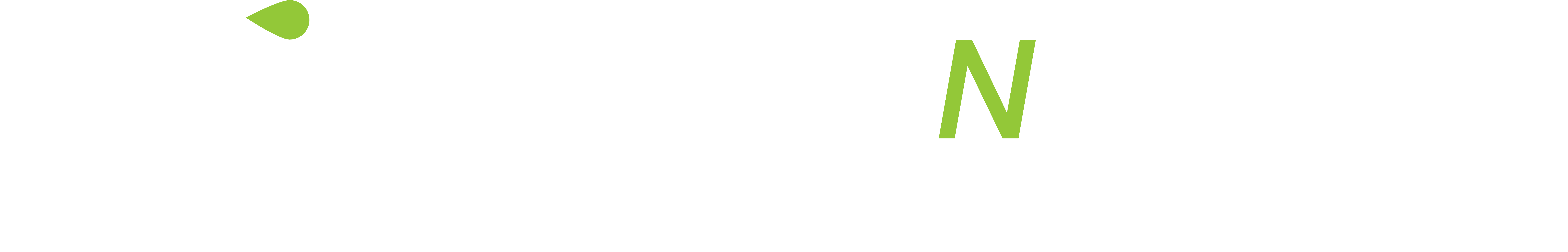 SpokesNMotion light Logo - Creating lifestyles