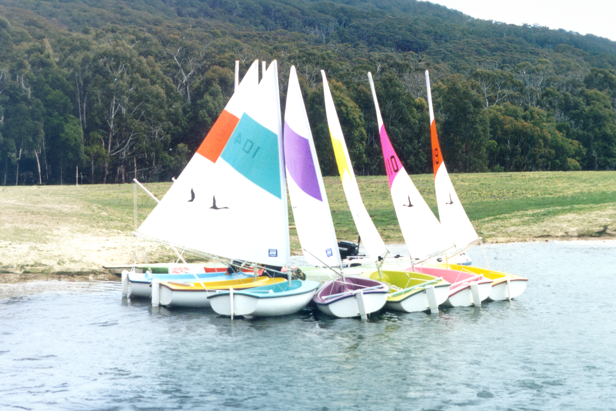a flock of boats